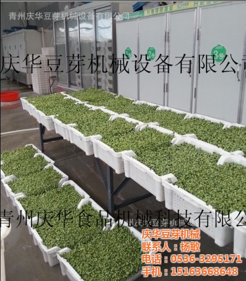 bsport必一运动:渑池县特殊教育学校开展消防安全疏散演练活动(图2) bsport必一运动