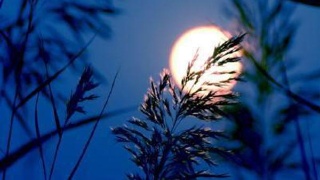 希望更多科技教育项目落地郑州实现共赢:必一·体育(图1) 必一·体育