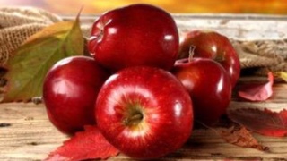 bsports必一:酒店价格一致性原则何去何从?(图3) bsports必一