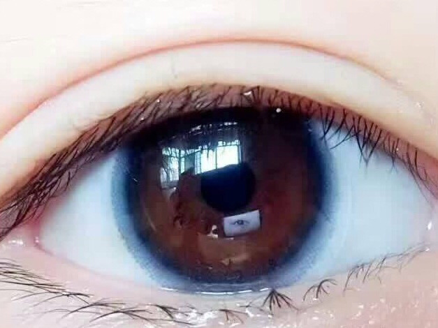 “必一·体育”法院强裁赛维破产重整案光伏巨头路在何方?(图4) bsport必一运动