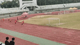 bsports必一_
十六金！八项记载！四连冠！厉害了 田径队...(图14)