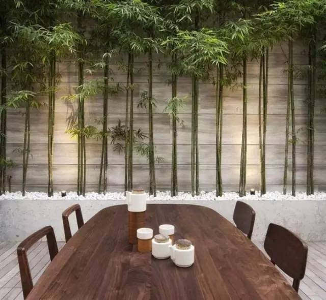 必一·体育